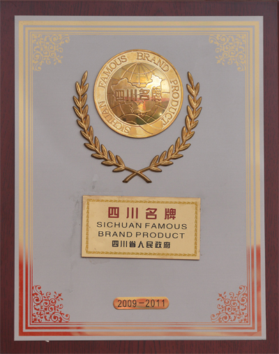 四川名牌2009.jpg